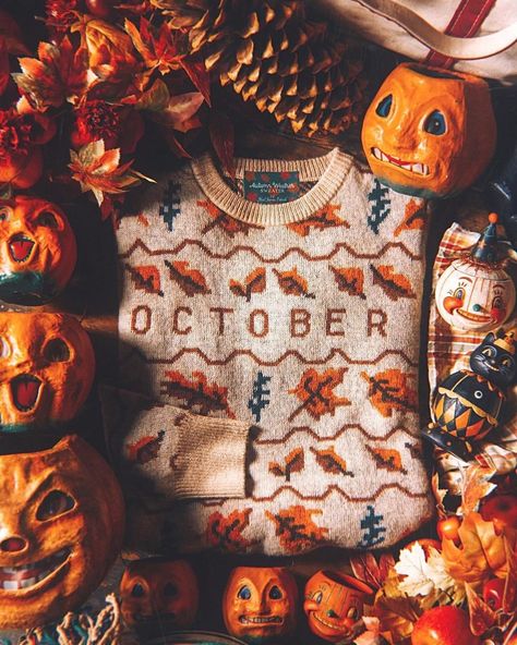 🎃 Autumnal Elements 🍁 | 🎃 𝐎𝐜𝐭𝐨𝐛𝐞𝐫 🎃 Another Fall-tastic photo taken by @kjp for his clothing brand. I must say, this sweater describes me perfectly in one word!… | Instagram Kjp Fall Sweater, Halloween Sweater Aesthetic, Kjp Sweaters, Kjp Fall, Kiel James Patrick Sweater, Autumn Board, Fall Feeling, Fall Shoot, Autumn Instagram