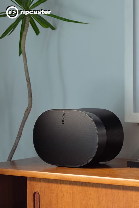 SONOS Era 300 Speaker on a sideboard with a tall plant beside it.  The speaker is black. Sonos Era 300, Sonos Speaker Stand, Sonos Speaker, Sonos Speakers, Acoustic Design, Speaker Design, Floor To Ceiling, Bluetooth Device, Dolby Atmos