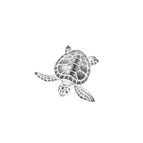 Small Sea Turtle Tatoos, Minimal Sea Turtle Tattoo, Sea Turtle Fine Line Tattoo, Turtle Line Tattoo, Sea Turtle Tattoo Simple, Simple Sea Turtle Tattoo, Minimalist Turtle Tattoo, Fine Line Turtle Tattoo, Tattoo Sea Turtle