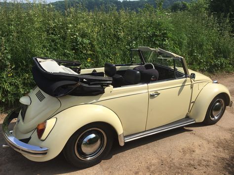 1969 VW Beetle Karmann Cabriolet in Yukon Yellow 1969 Vw Beetle, Volkswagen Convertible, Vw Beetle Convertible, Volkswagen Bug, Beetle Car, Beetle Convertible, Getaway Car, Love Car, German Cars