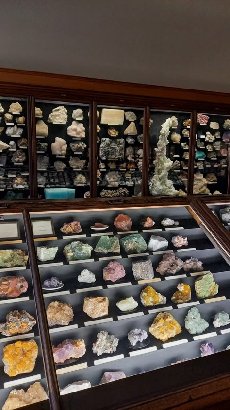 Archaeology Aesthetic Room, Gemology Aesthetic, Natural History Museum Aesthetic, History Nerd Aesthetic, Science Museum Aesthetic, Natural Science Aesthetic, Geologist Aesthetic, Museum Curator Aesthetic, History Museum Aesthetic