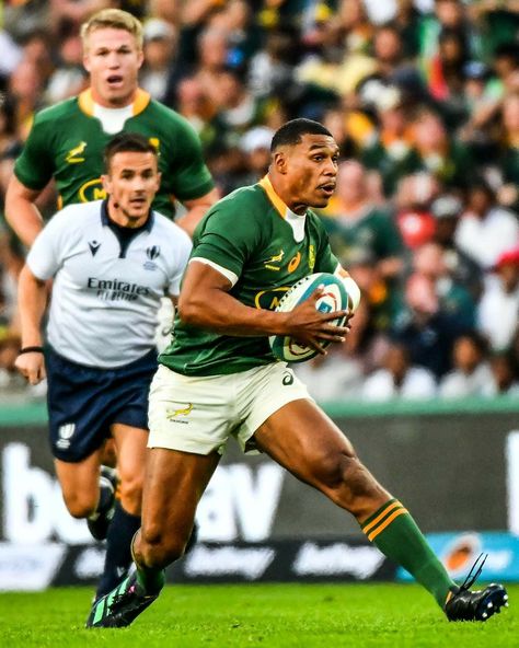 Damian Willemse, Damian Willemse Rugby, Springbok Rugby Logo, Springbokke Rugby, Go Bokke, Springbok Rugby Emblem, Spring Bokke Rugby, Springbok Rugby Players, Rugby Wallpaper