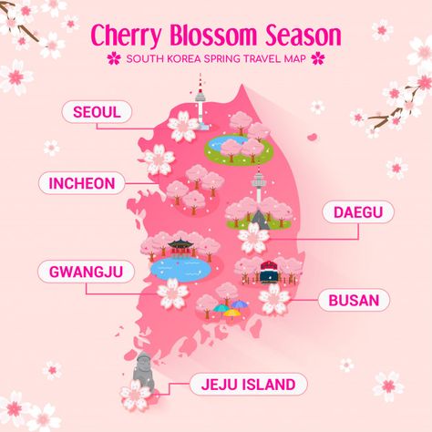 South korea cherry blossom season travel... | Premium Vector #Freepik #vector #tree #map #park #korea Korea Map, Seoul Korea Travel, Blossom Season, Korean Words Learning, Korean Phrases, South Korea Travel, Korean Language Learning, Cherry Blossom Season, Korean Words