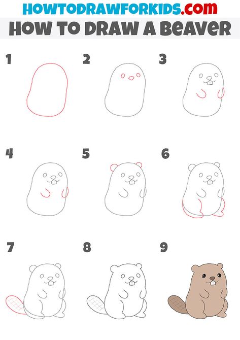 how to draw a beaver step by step Cute Beaver Drawing Easy, How To Draw A Beaver Step By Step, How To Draw A Beaver, Beaver Drawing Simple, How To Draw Cartoon Animals Step By Step, Cute Beaver Drawing, Beaver Doodle, How To Draw Animals Step By Step, Beaver Drawing