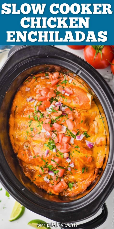 Crock Pot Chicken Enchiladas, Slow Cooker Chicken Enchiladas, Crockpot Chicken Enchiladas, Hispanic Dishes, Slow Cooker Enchiladas, Recipes With Enchilada Sauce, Chicken Crockpot Recipes Easy, Chicken Enchiladas Easy, Homemade Enchilada Sauce