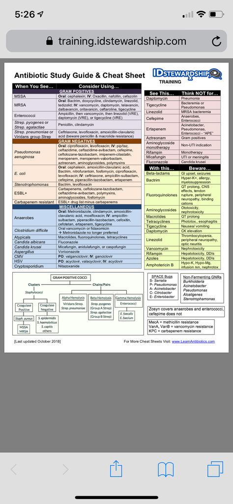 Ancc Fnp Exam, Infectious Diseases Notes, Advanced Pharmacology Nurse Practitioner, Advanced Pathophysiology Fnp, Antibiotics Cheat Sheet, Dnp School, Antibiotics Chart, Antibiotics Pharmacology, Infection Control Nursing