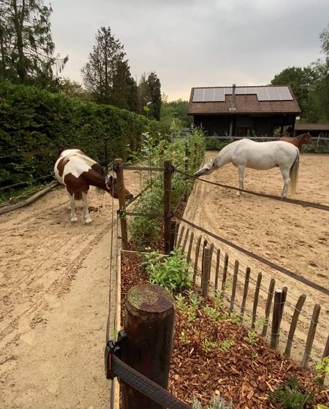 Paddock Paradise Ideas, Horse Garden, Equine Stables, Dream Barn Stables, Paddock Trail, Horse Farm Ideas, Horse Paddock, Diy Horse Barn, Cross Country Jumps