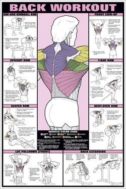 Trening Sztuk Walki, Gym Antrenmanları, Lifting Workouts, Weight Lifting Workouts, Pilates Training, Workout Posters, Online Fitness, Workout Chart, Body Hacks