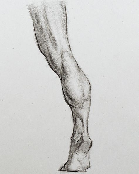 The Anatomy Lesson, Leg Anatomy, Drawing Legs, Anatomy References, Human Leg, Human Anatomy Drawing, Human Anatomy Art, Anatomy Sketches, Anatomy For Artists