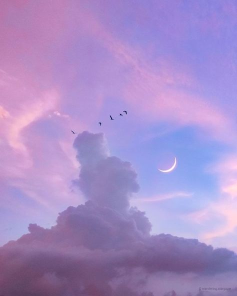 #sky #birds #clouds #aesthetic #moon #twilight #pretty #beautiful #banners #fly Pink Clouds Sky, Lofi Aesthetic, Sky Gif, Lilac Sky, Pastel Sunset, Cute Fall Wallpaper, Scenery Background, Cloud Wallpaper, Picture Collage Wall