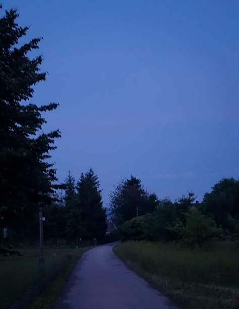 Blue Countryside Aesthetic, Blue Outside Aesthetic, Blue Hour Forest, Forest Aesthetic Blue, Blue Forest Aesthetic, Blue Hour Wallpaper, Blue Hour Aesthetic, Dark Hour, Blue Hour Photography