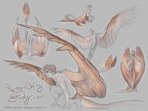 Wings Human, Winged People, Wings Drawing, Wings Art, Concept Art Drawing, Mythical Creatures Art, Figure Drawing Reference, Art Tutorials Drawing, Art Poses