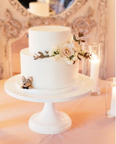 Wedding Cake With Dog Peeking Out, Wedding Cake With Dog, Wedding Cakes Dog, 2 Tier Wedding Cakes, Meridian House, Middleton Wedding, Smith Wedding, Boho Cake, Wedding Aesthetics