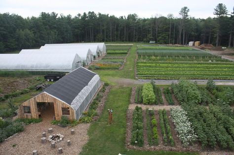 Growing a Revolution, No-Till Babes, & Frith Farm Workshop No Till Garden Layout, Crops Farm, Farm Workshop, Agritourism Farms, Aquaculture Fish, David Montgomery, Vegetable Farm, Sustainable Farm, Garden Prepping