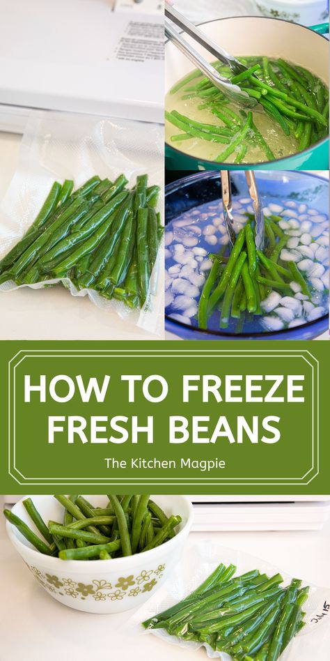 Cooking Frozen Green Beans, Freeze Beans, Air Fryer Recipes Appetizers, Blanching Green Beans, Pork Salad, Fresh Top, Freeze Greens, Frozen Green Beans, Storage Tips