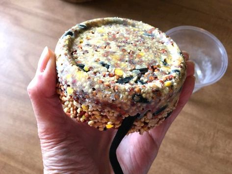 Dishfunctional Designs: What To Do With Leftover Bacon Grease Fat: Suet & Birdseed Birdfeeders What To Do With Bacon, Bacon Grease Uses, Leftover Bacon, Suet Recipe, Bird Suet, Suet Cakes, Bird Seed Feeders, Fat Bird, Hamster Food