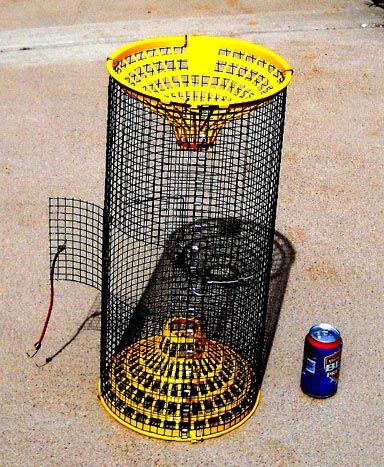 Crawfish Traps, Fishing Traps, Pesca In Mare, Best Beard Styles, Fishing Room, Bushcraft Gear, Crab Fishing, Metal Fabrication Tools, Diy Instruments