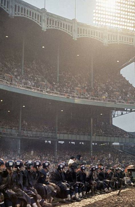 NY Giants bench, Yankee Stadium Ny Giants Aesthetic, Bruiser Brody, New York Stadium, Nfl Giants, Giants Stadium, New York Giants Stadium, Ny Giants Football, Mlb Stadiums, Football Pics