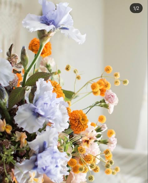 Blue Purple Orange Aesthetic, Periwinkle And Orange Wedding, Lilac Orange Wedding, Orange And Blue Flower Arrangements, Blue And Orange Flower Arrangements, Blue And Orange Wedding Flowers, Orange Blue Flowers, Tangerine Wedding, Orange And Blue Flowers