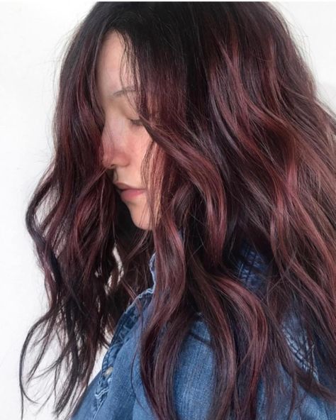 Dark Mahogany Hair, Mahogany Balayage, Hair Color Ideas For 2023, Mahogany Hair Color, Pelo Color Borgoña, Fall Hair 2023, Highlight Colors, Ombre Curly Hair, Burgundy Hair Color