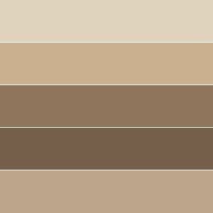 Coffee Colour palate ☕☕☕ Coffee Shades Color Palettes, Light Coffee Wall Color, Light Mocha Paint Color, Light Academia Aesthetic Color Palette, Light Wood Color Palette, Milk Tea Color Palette, Biege Colour Pallete, Light Brown Pallete Color, Light Academia Paint Colors