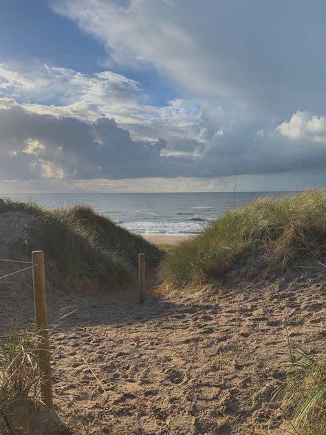 Sand Dunes Aesthetic, Beachy Pics, Beach Sand Dunes, Ocean Collage, Study Challenge, Beach Dunes, Photo Study, Mary Art, Sand Dunes