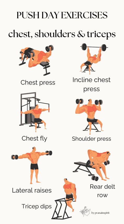 Great strength exercises for your chest, triceps and shoulders!

#gym #gymexercises #gymworkout #pushday #upperbodyworkout #fitness #lifting #strengthtraining Chest Workout Women Gym Weights, Chest And Tricep Warmup, Chest Workout Women Gym, Workout Women Gym, Chest Workout Women, Gym Exercises, Push Day, Strength Exercises, Motivational Affirmations