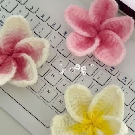 Crochet flower hair clip is available 🌸 Price : 350da Livraison disponible 🇩🇿58w . . . #algeria #dzpower #aesthetics #hairclips Flower Accessories Aesthetic, Crochet Hair Flowers, Crochet Flower Hair Clip, Crochet Flower Clip, Crochet Flower Hair Clips, Crochet Hairclip, Hair Clips Crochet, Crochet Clips, Hair Clip Crochet