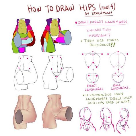 Draw Hips, Hip Anatomy, Female Anatomy Reference, Male Figure Drawing, Drawing Female Body, Anatomy Tutorial, Female Torso, Human Figure Drawing, Human Anatomy Art