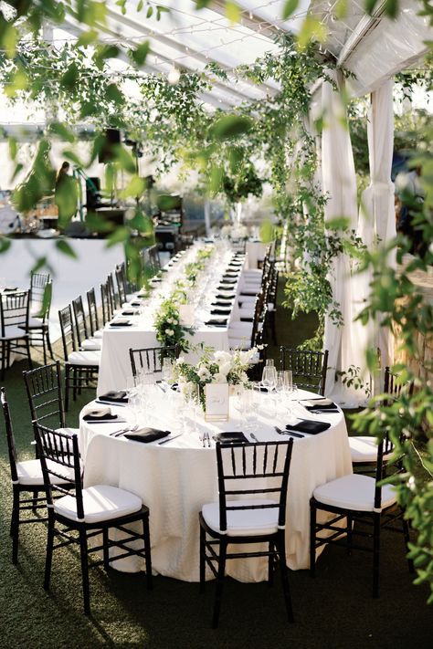 All White Tent Wedding, Garden Wedding Black And White, Outdoor Black Tie Event, Black Tie Winery Wedding, Black And White Aesthetic Wedding Reception, Green Cream And Black Wedding, Black And White Wedding With Green Accents, Southern Black Tie Wedding, Black And White Forest Wedding