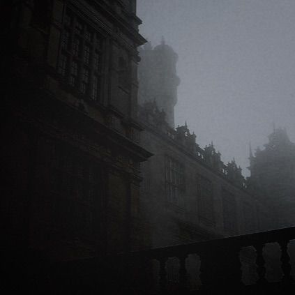 Dark Victorian Aesthetic, Gothic Academia, Darkest Academia, Emily Brontë, Victorian Aesthetic, St Marys, Penny Dreadful, Mary Shelley, Gothic Aesthetic