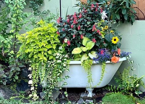 Clawfoot Tub Flower Bed, Cast Iron Tub Garden, Bathtub Garden Planters, Bathtub Planter Ideas, Bathtub Flower Bed, Bathtub Planter, Succulent Business, Garden Tubs, Garden Bathtub