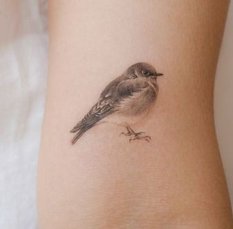 Finches Bird Tattoo, Small Wren Bird Tattoo, Realistic Robin Tattoo, Phoebe Bird Tattoo, Cute Bird Tattoos For Women, Pretty Bird Tattoo, Red Sparrow Tattoo, Simple Bird Tattoos For Women, Finch Bird Tattoo