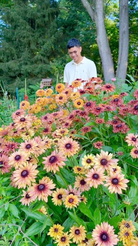 Rudbeckia Sahara Bouquet, Rudbeckia Sahara, Teacup Flowers, Growing Cut Flowers, Human Eyes, Brown Flowers, Flower Gardens, Oh My God, My God