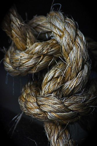 Knot | Laura Brittain | Flickr Boring Girl, Memorial Day Foods, Foto Macro, Close Up Photography, Gcse Art, Foto Art, Color Textures, Still Life Photography, Macro Photography