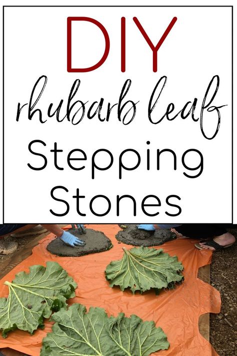 rhubarb leaf stepping stones preparation on a plywood sheet of wood Leaf Stepping Stones, Step Stones, Small Farm, Perennial Garden, Country Farmhouse, Rhubarb, Stepping Stones, Perennials, Make Your Own