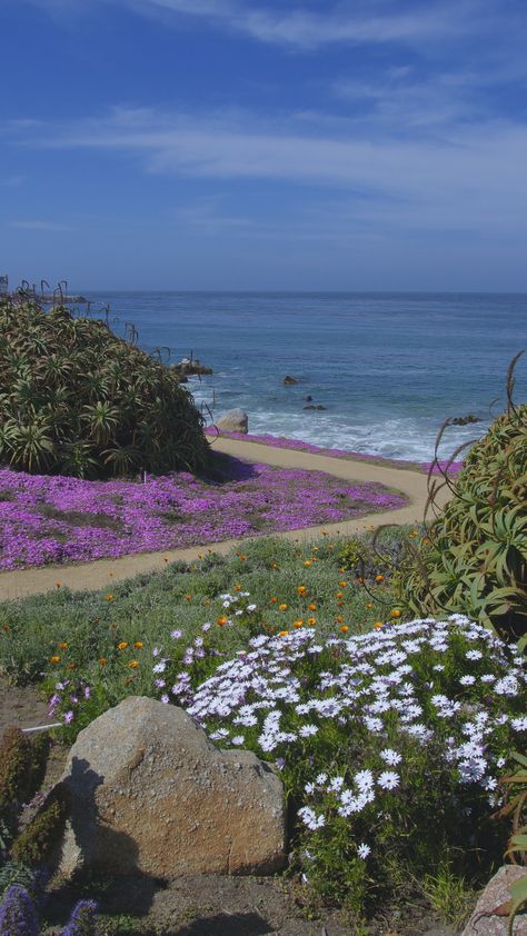 Pacific Palisades Aesthetic, Travelling Pics, Amy Core, Pacific Coast Trail, California Painting, Pacific Grove California, Beach Landscapes, Coast Line, Wallpaper Wa