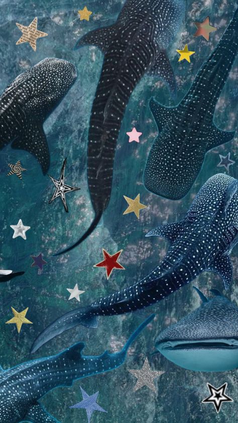 #whaleshark #shark #ocean Whale Sharks Aesthetic Wallpaper, Leopard Shark Aesthetic, Whale Shark Aesthetic, Whale Shark Wallpaper, Sharks Aesthetic, Shark Collage, Shark Aesthetics, Ocean Reference, Tablet Aesthetic