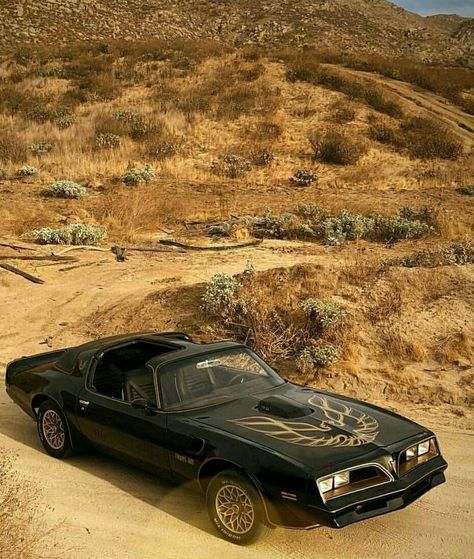 1978 Pontiac Firebird Trans Am Firebird Tattoo, Bandit Trans Am, 1978 Pontiac Trans Am, Skid Marks, 1979 Pontiac Trans Am, White Ferrari, Smokey And The Bandit, Road Trip Car, Pontiac Firebird Trans Am