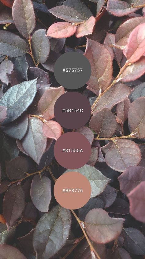 Visuell Identitet, Color Schemes Colour Palettes, Fotografi Editorial, Colour Ideas, Color Palette Design, Color Inspo, Plum Purple, Paint Colors For Home, Decor Living Room