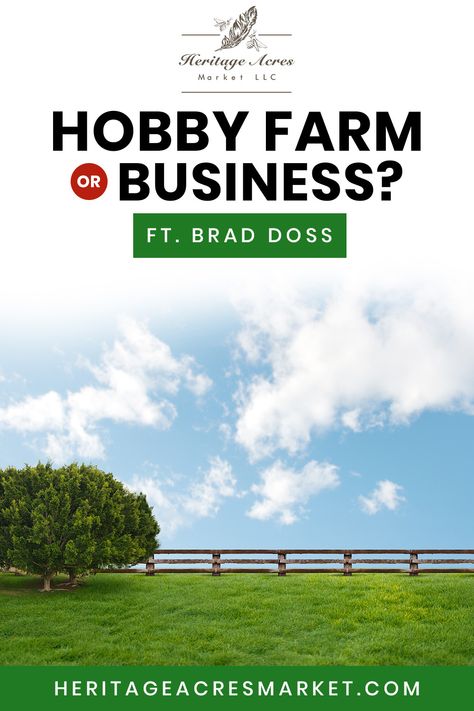 Business Llc, Start A Farm, Starting A Farm, Farm Diy, Farming Business, Farm Business, Hobby Farm, Safe Harbor, Backyard Farming