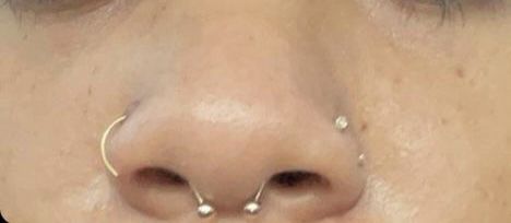 Double Nose Piercing, Cute Nose Piercings, Pretty Piercings, Face Piercings, Nose Piercings, Piercing Inspo, Cute Piercings, Jewelry Piercing, Nose Studs