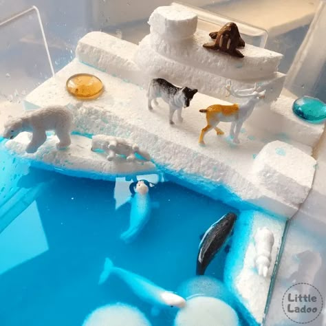 Tundra Habitat Projects For Kids, Polar Habitat Project, Penguin Habitat Shoebox Project, Tundra Biome Shoebox Project, Igloo Diorama, Artic Diorama For Kids, Arctic Habitat Project For Kids, Artic Habitat Project For Kids, Arctic Diorama For Kids