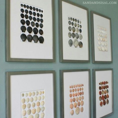 Cool way to display scallop shells Do It Yourself Decoration, Shell Display, Deco Marine, Wall Art Tutorial, Diy Beach Decor, Seashell Wall Art, Functional Artwork, Art Coquillage, Navarre Beach