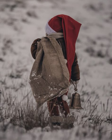 Christmas Things To Do, Christmas Elf Doll, Baby Christmas Photos, Swedish Christmas, Winter Photoshoot, I Love Winter, Christmas Family Photos, Christmas Photography, Christmas Photoshoot