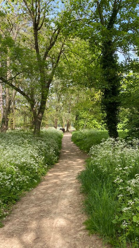 Driveway Inspiration, Tree Vines, Horse Walking, Being In Nature, Be In The Moment, Our Senses, Countryside Cottage, English Summer, Dog Walks