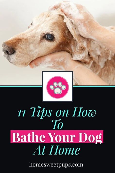 I find these dog bath tips make it easy to DIY and will help me save money. These bathing ideas for using either a tub or in a laundry room sink to give your dog a bath is exactly what I needed to feel confident not to mention the tips on dog shampoos to use also. Read @homesweetpups.com #dogbath #dogbathtips #petdogbathtips #dogshampoos #dogbathideas #cleandog Bath Tips, Dogs At Home, Dog Bathing, Dog At Home, Dog Grooming Tips, Dog Smells, Dog Health Tips, Dog Odor, Grooming Tips