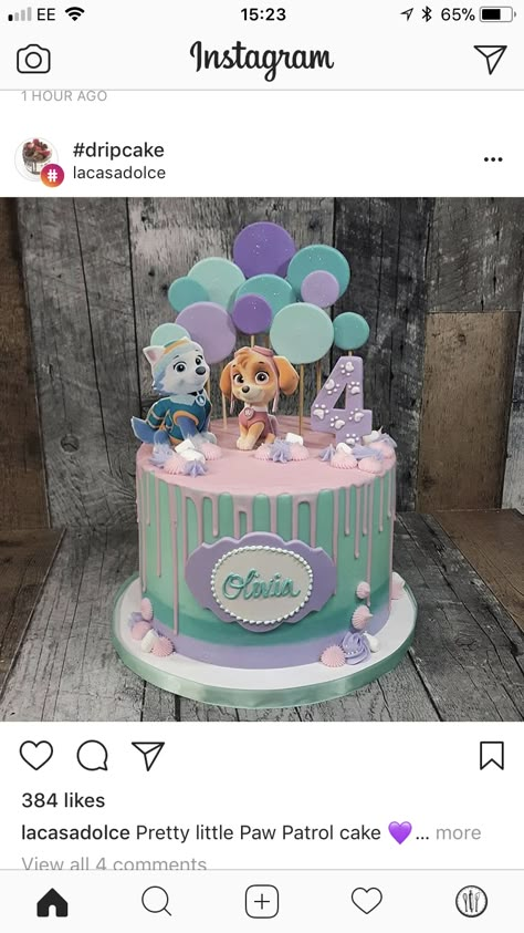 Skye Everest Cake, Sky Everest Cake, Paw Patrol Cake Skye Everest, Paw Patrol Everest Cake, Skye Cake Paw Patrol, Skye And Everest Birthday Cake, Paw Patrol Everest Party, Skye And Everest Cake, Everest Paw Patrol Cake