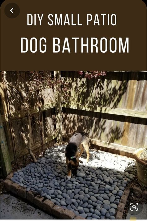 Diy Small Patio, Patio Ideas For Dogs, Backyard Dog Area, Dog Potty Area, Dog Friendly Backyard, Dog Backyard, Small Patios, Balkon Decor, Dog Bathroom