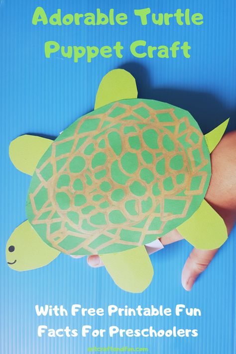 Adorable Turtle Craft Puppet With Free Printable Template and Fun Facts Turtle Puppet Craft, Tortoise Craft Preschool, Turtle Craft For Toddlers, Turtle Puppet, Desert Habitat, Turtle Craft, Aquarium Craft, Turtle Facts, Under The Sea Crafts